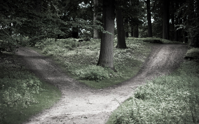 quick, now, here, always