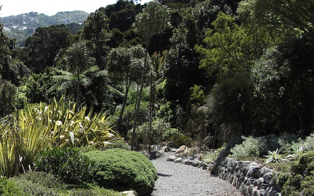 in a garden