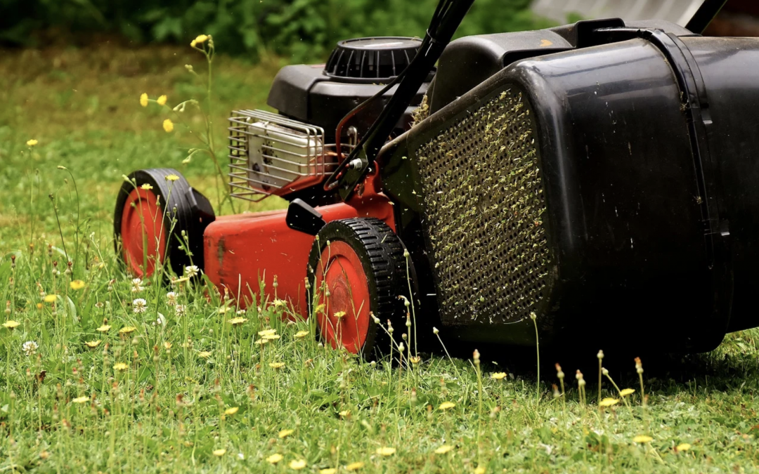 as I mowed